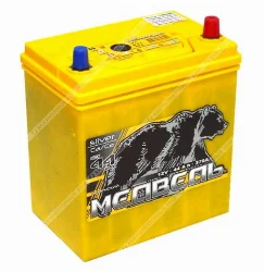 Аккумулятор Тюменский Медведь Asia 50B19L 44 Ач о.п. Фото 1